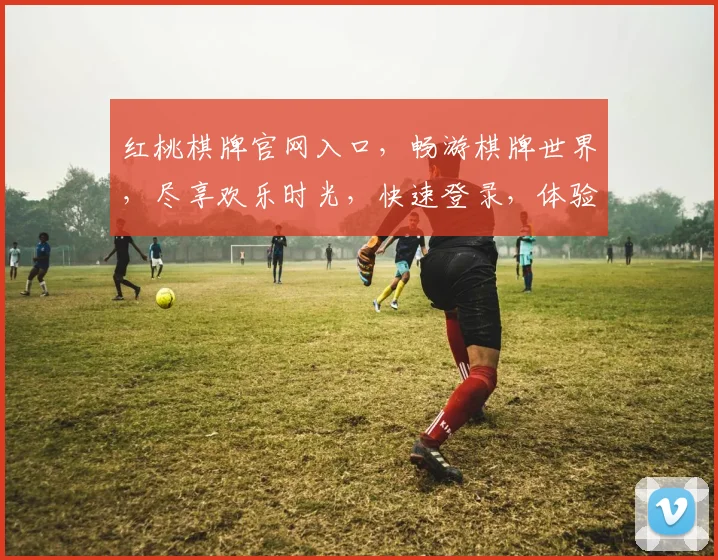 红桃棋牌官网入口，畅游棋牌世界，尽享欢乐时光，快速登录，体验不凡