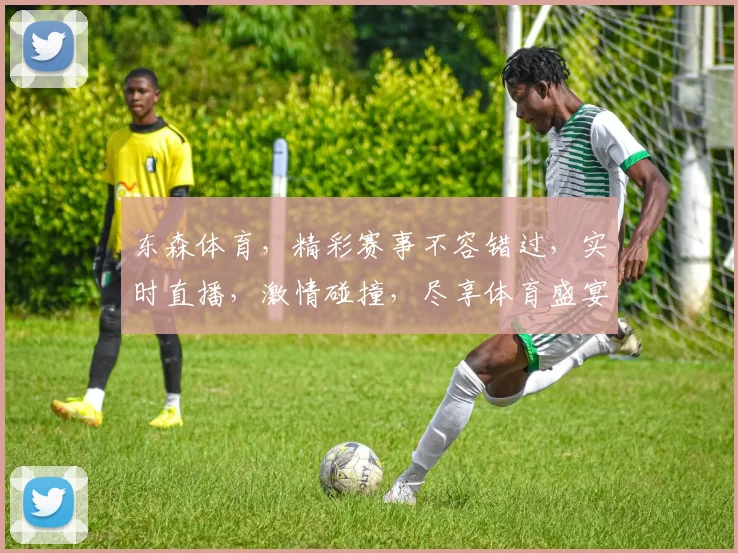 东森体育，精彩赛事不容错过，实时直播，激情碰撞，尽享体育盛宴