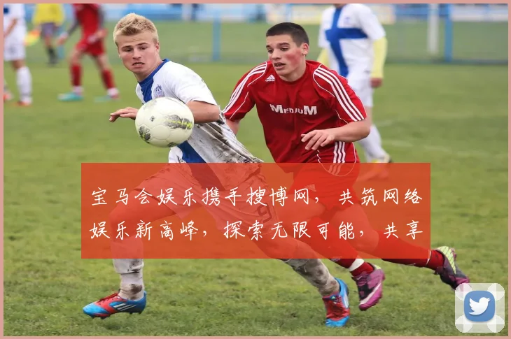 宝马会娱乐携手搜博网，共筑网络娱乐新高峰，探索无限可能，共享繁荣未来。