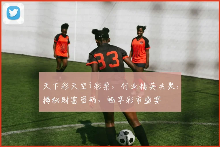 天下彩天空i彩票，行业精英共聚，揭秘财富密码，畅享彩市盛宴